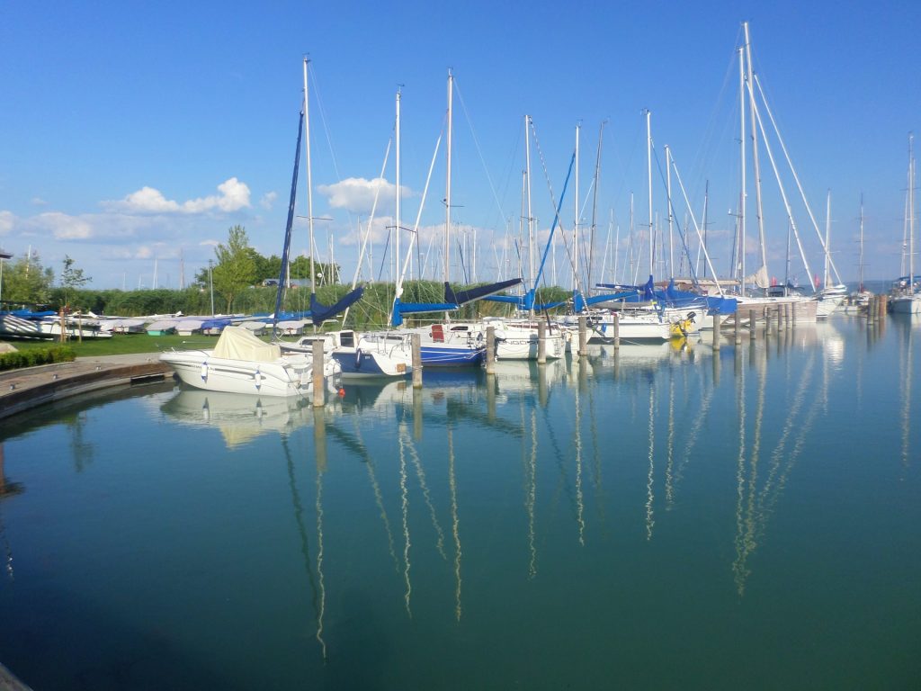 A variety of boats docked at a river bank. Illustrating aspects of the transformative power of curiosity. Photo by Bettina on Unsplash.